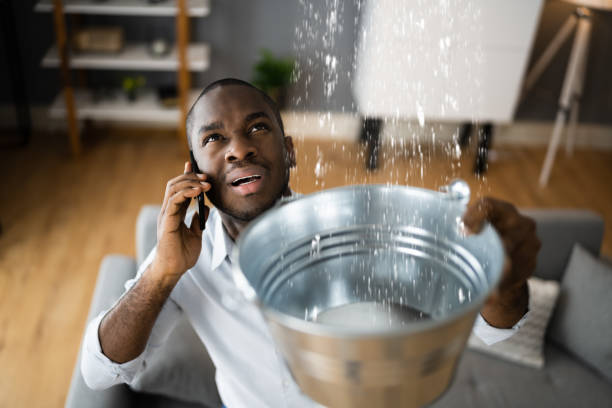 Best Flood damage cleanup  in Sand Point, AK