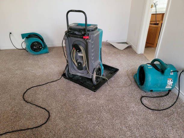 Best Local water damage restoration  in Sand Point, AK