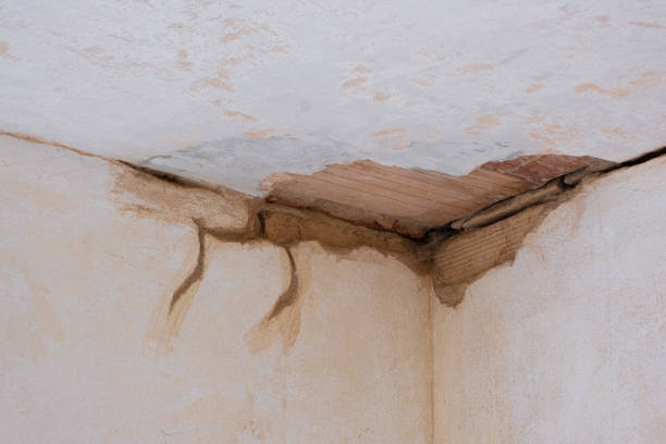 Best Residential water damage restoration  in Sand Point, AK