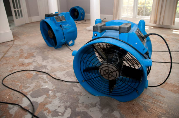 Best Water damage restoration near me  in Sand Point, AK