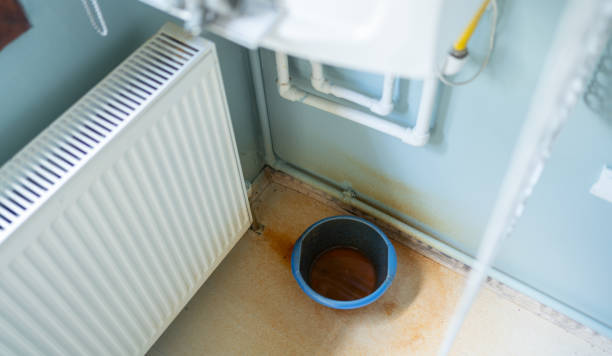 Best Basement water damage restoration  in Sand Point, AK